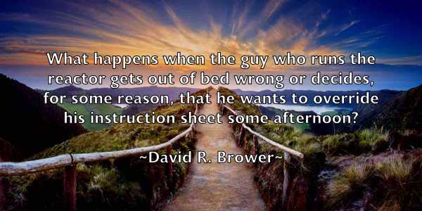 /images/quoteimage/david-r-brower-194481.jpg