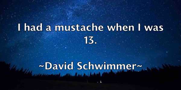 /images/quoteimage/david-schwimmer-195016.jpg