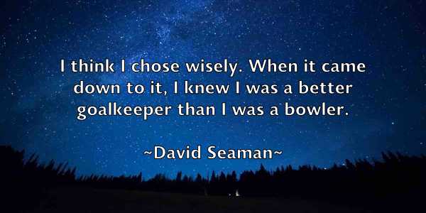 /images/quoteimage/david-seaman-195083.jpg