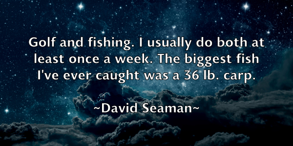 /images/quoteimage/david-seaman-195085.jpg