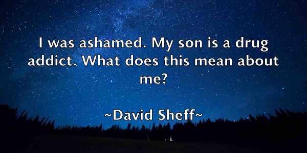 /images/quoteimage/david-sheff-195208.jpg