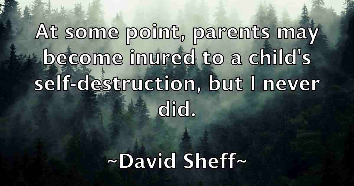 /images/quoteimage/david-sheff-fb-195204.jpg