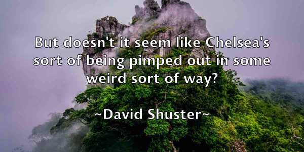 /images/quoteimage/david-shuster-195416.jpg