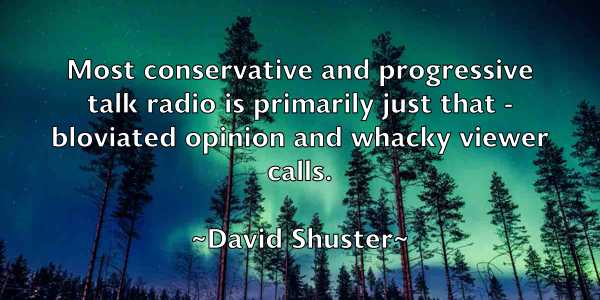 /images/quoteimage/david-shuster-195417.jpg