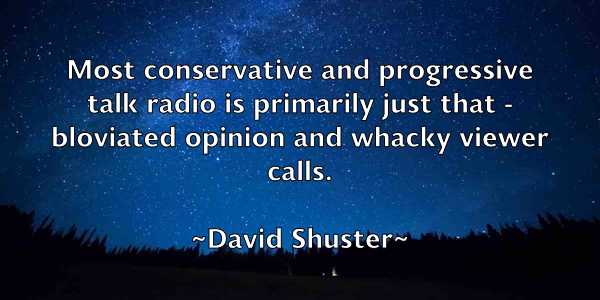 /images/quoteimage/david-shuster-195417.jpg