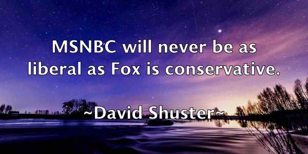 /images/quoteimage/david-shuster-195420.jpg