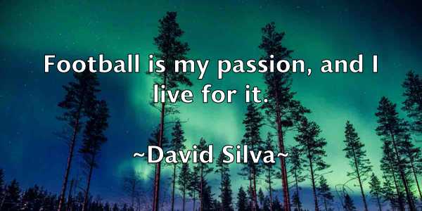 /images/quoteimage/david-silva-195435.jpg