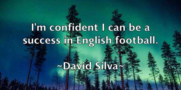 /images/quoteimage/david-silva-195459.jpg