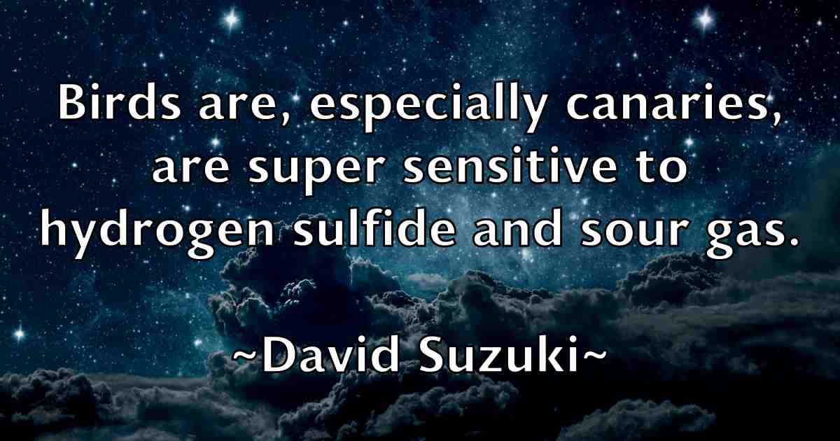 /images/quoteimage/david-suzuki-fb-195876.jpg