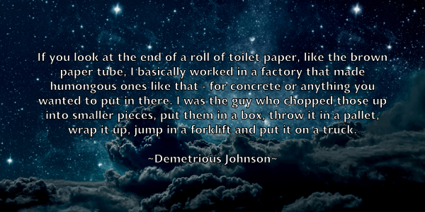 /images/quoteimage/demetrious-johnson-201676.jpg