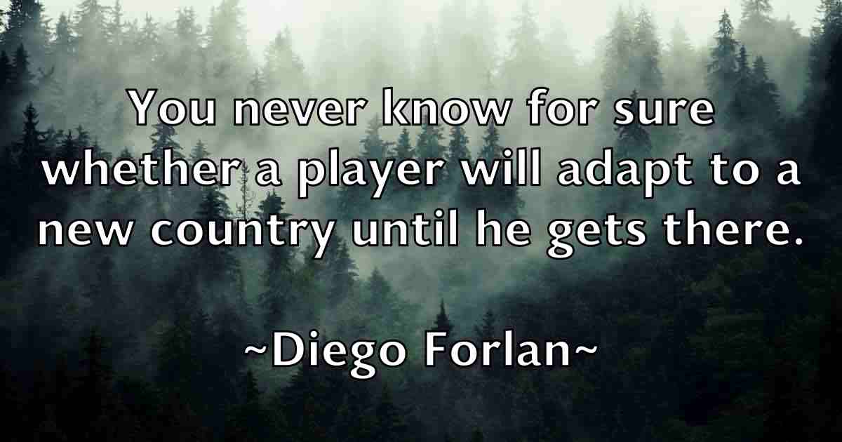/images/quoteimage/diego-forlan-fb-210413.jpg