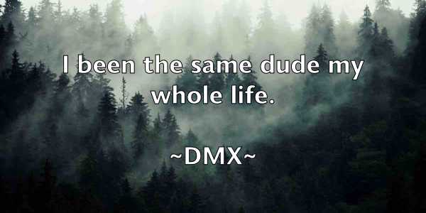 /images/quoteimage/dmx-dmx-213171.jpg