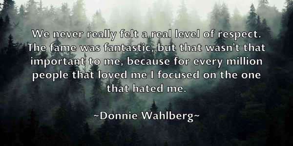 /images/quoteimage/donnie-wahlberg-217833.jpg