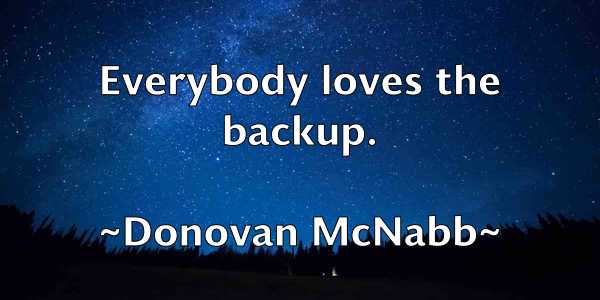 /images/quoteimage/donovan-mcnabb-218129.jpg