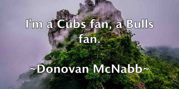 /images/quoteimage/donovan-mcnabb-218133.jpg