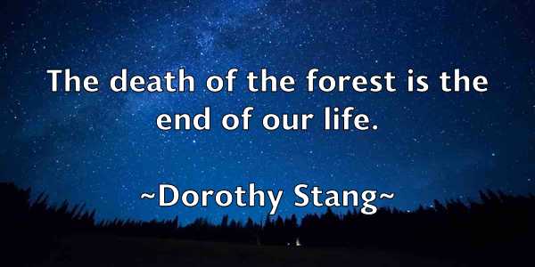 /images/quoteimage/dorothy-stang-219062.jpg