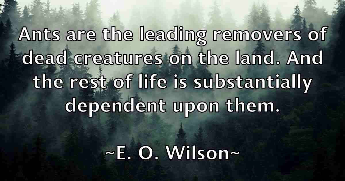 /images/quoteimage/e-o-wilson-fb-225573.jpg