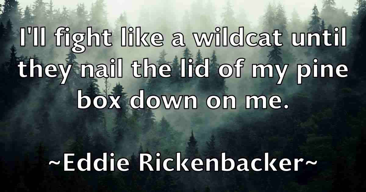 /images/quoteimage/eddie-rickenbacker-fb-228131.jpg