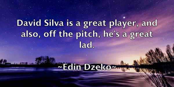 /images/quoteimage/edin-dzeko-229473.jpg