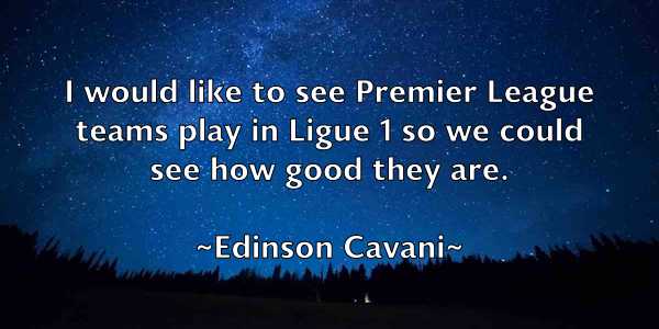 /images/quoteimage/edinson-cavani-229580.jpg