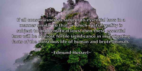 /images/quoteimage/edmund-husserl-230053.jpg