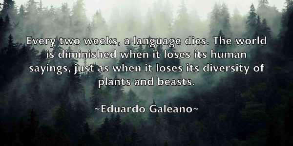 /images/quoteimage/eduardo-galeano-230545.jpg