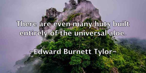 /images/quoteimage/edward-burnett-tylor-230841.jpg