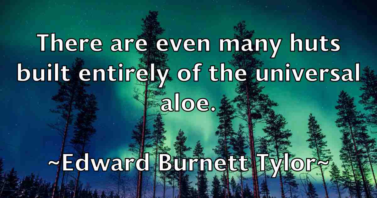/images/quoteimage/edward-burnett-tylor-fb-230841.jpg