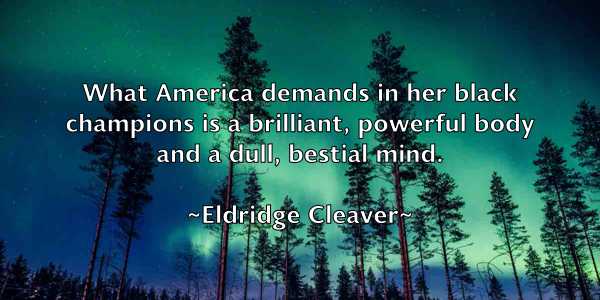 /images/quoteimage/eldridge-cleaver-234267.jpg