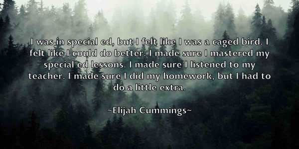 /images/quoteimage/elijah-cummings-235407.jpg