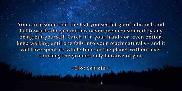 /images/quoteimage/eliot-schrefer-235599.jpg