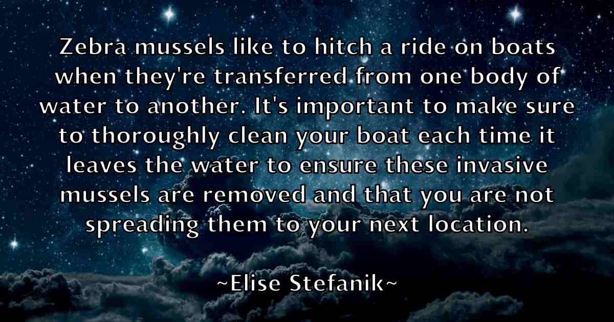 /images/quoteimage/elise-stefanik-fb-235997.jpg