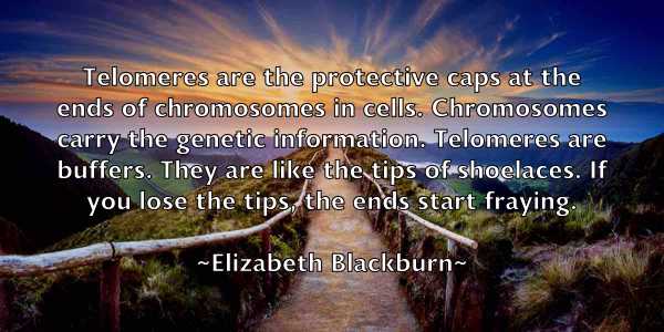 /images/quoteimage/elizabeth-blackburn-236696.jpg