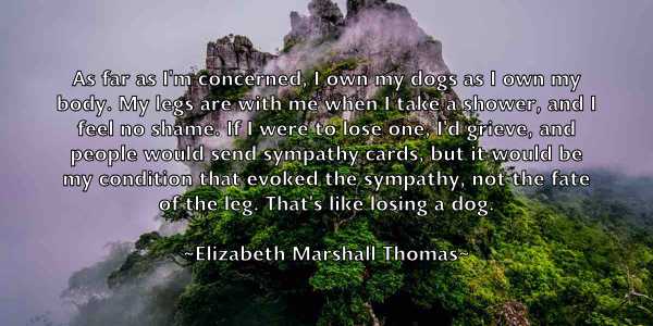 /images/quoteimage/elizabeth-marshall-thomas-237625.jpg