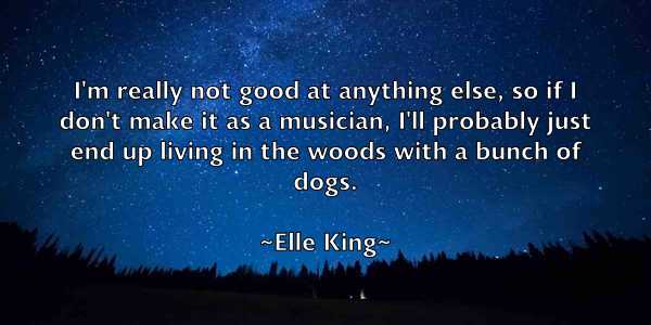 /images/quoteimage/elle-king-238901.jpg