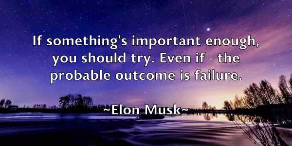 /images/quoteimage/elon-musk-240828.jpg