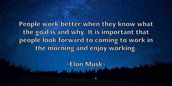 /images/quoteimage/elon-musk-240839.jpg