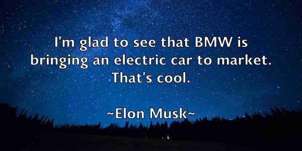 /images/quoteimage/elon-musk-240909.jpg