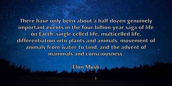 /images/quoteimage/elon-musk-240913.jpg