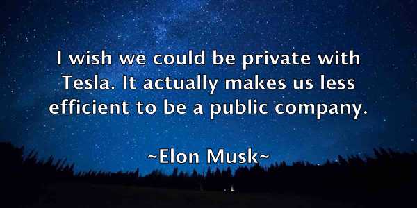 /images/quoteimage/elon-musk-240973.jpg