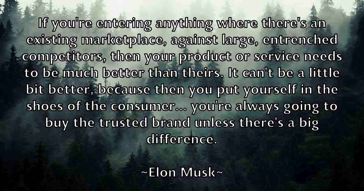 /images/quoteimage/elon-musk-fb-240894.jpg