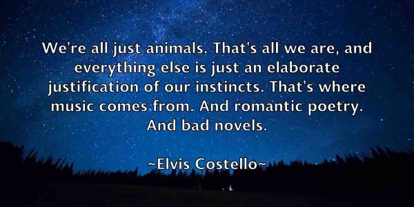 /images/quoteimage/elvis-costello-241270.jpg