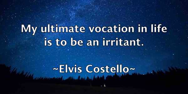 /images/quoteimage/elvis-costello-241271.jpg