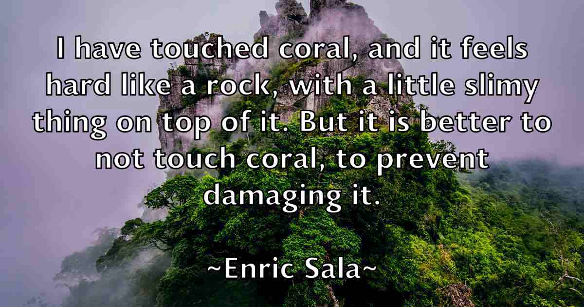 /images/quoteimage/enric-sala-fb-246117.jpg