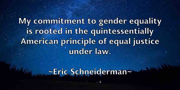 /images/quoteimage/eric-schneiderman-249140.jpg