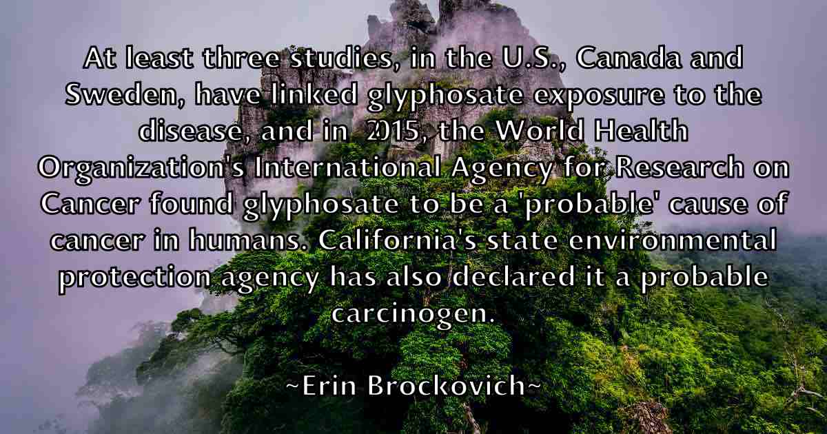 /images/quoteimage/erin-brockovich-fb-250757.jpg