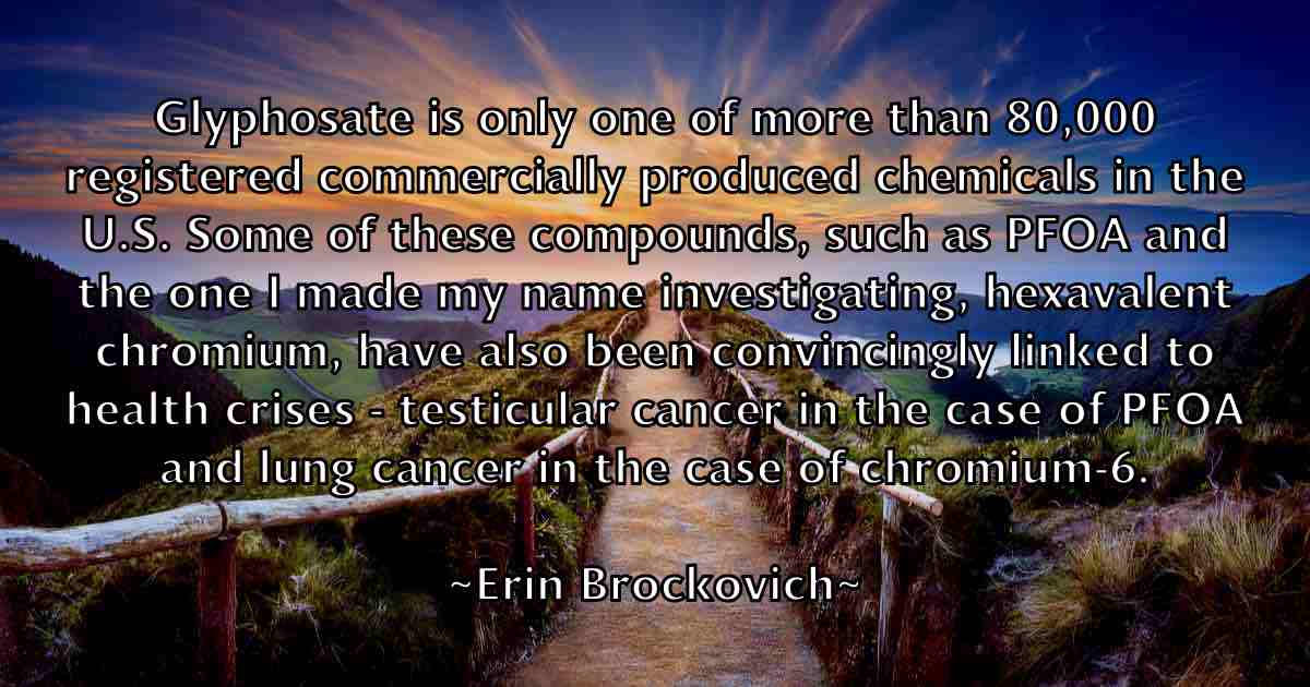 /images/quoteimage/erin-brockovich-fb-250786.jpg