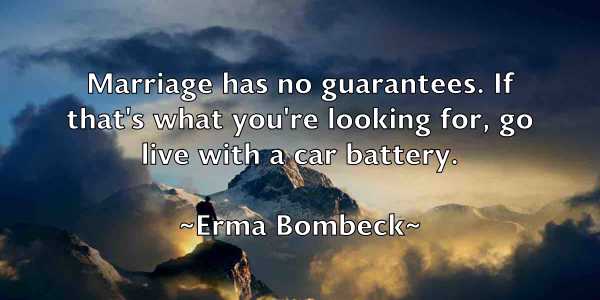 /images/quoteimage/erma-bombeck-251371.jpg