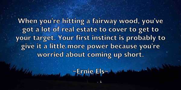 /images/quoteimage/ernie-els-251981.jpg