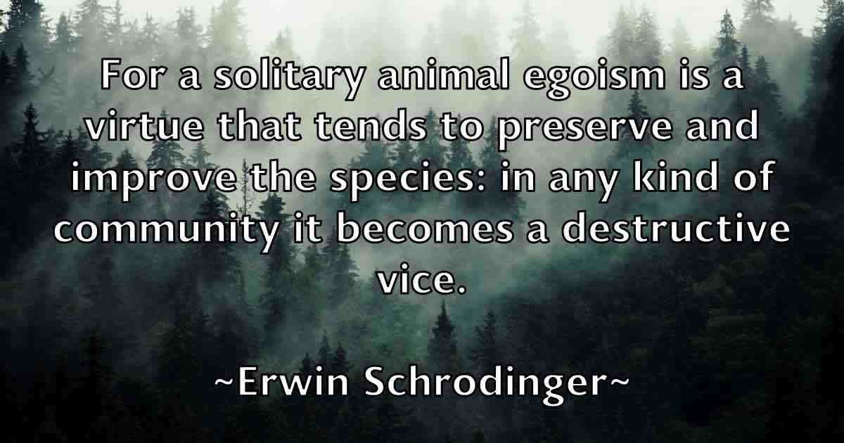 /images/quoteimage/erwin-schrodinger-fb-252463.jpg